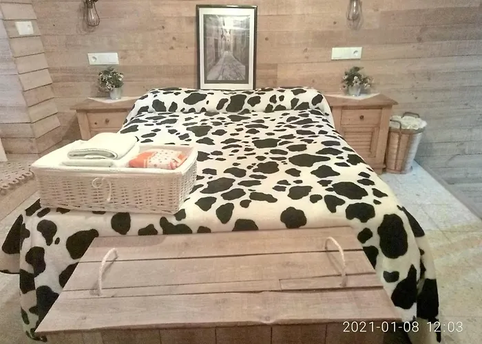 Apartamentos Caleros